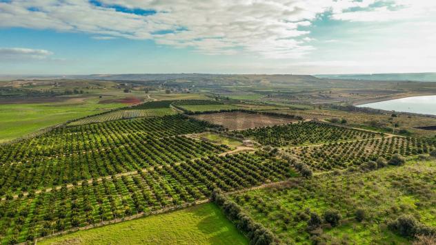 Terreno in vendita a Lentini