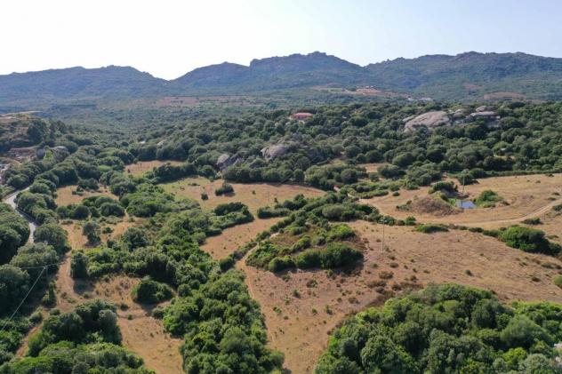 Terreno agricolo in vendita a Luogosanto 45000 mq Rif: 1356628 - Foto 6