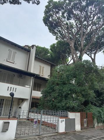 Ragazzo cerca lavoro qualsiasi aiuto muratore, idraulico ecc