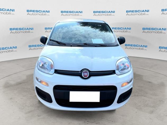 FIAT Pandina 1.0 FireFly 65cv S&S 6m Hybrid Pop - Foto 2