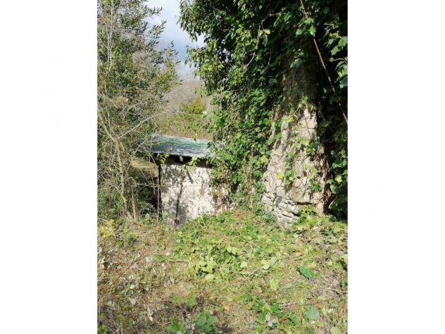 Agricolo in Contrada Puglisi - Foto 12