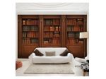 Fotomurale Adesivo Con Una Libreria Elegante Arredalacasa