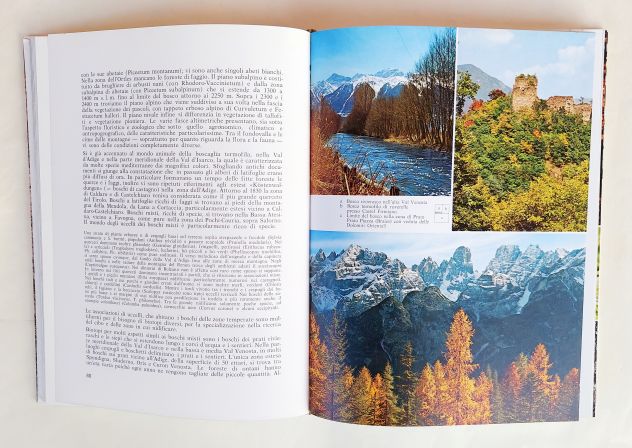 Animali delle nostre Alpi di Peter Ortner 2°Ed.Athesia  Bolzano, gennaio 2007 - Foto 8