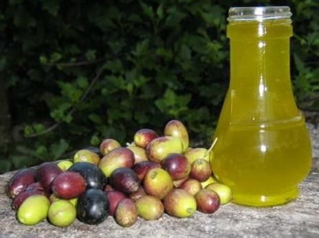 EXTRAVERGINE di OLIVA di ECCELLENZA dei MONTI del CILENTO