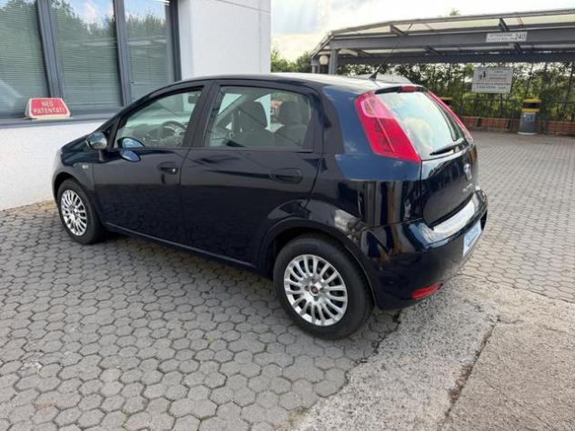 FIAT Punto 1.2 BENZINA 5 PORTE STREET OK NEOPATENTATO rif. 24072756 - Foto 6