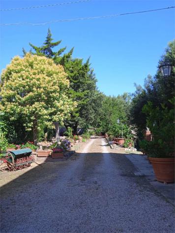 Villa pescia 850 - Villa a Pescia - Collodi - Foto 14