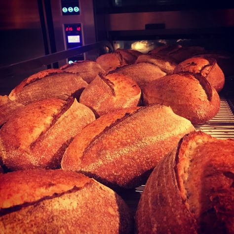 Cercasi Panettiere/Pasticcere per Bakery Café in Norvegia - Foto 3