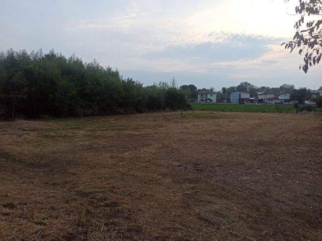 TERRENO AGRICOLO IN VENDITA ZONA MULINI CODROIPO - Foto 2
