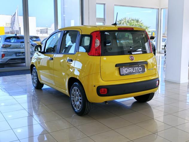 Fiat Panda 1.0 Hybrid ICON 2025 - Foto 4