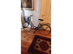 Bici da donna