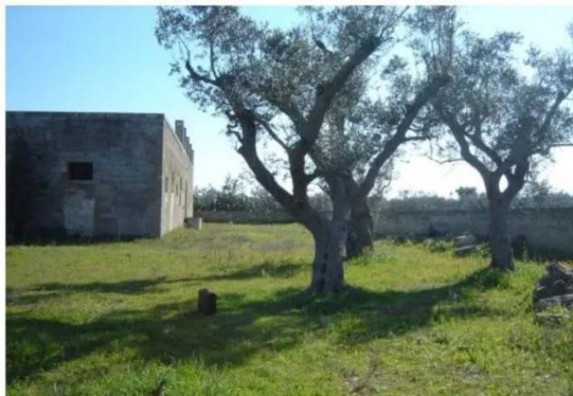 Immobile in asta di 950 m² in vendita a Collepasso - Foto 3