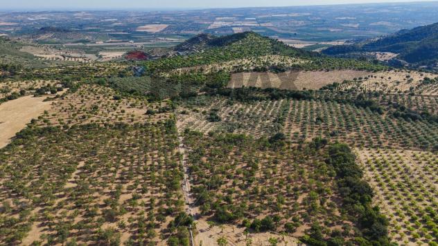 Cascina/Casale in vendita a Noto