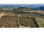 Cascina/Casale in vendita a Noto