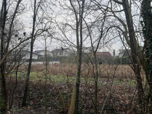 Immobile in asta di 3033 m² in vendita a Sanza - Foto 9
