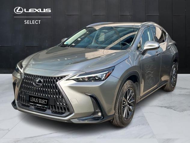 Lexus NX Hybrid Premium 4WD MY22