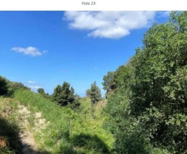 Immobile in asta di 62700 m² in vendita a Galatro - Foto 13
