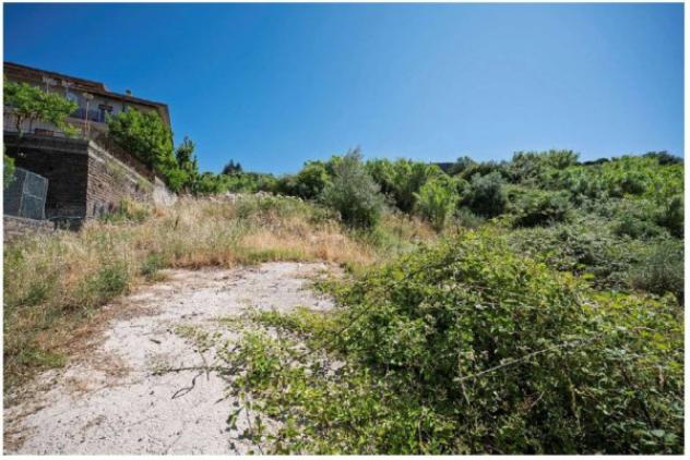 Immobile in asta di 17072 m² in vendita a Olevano Romano - Foto 3