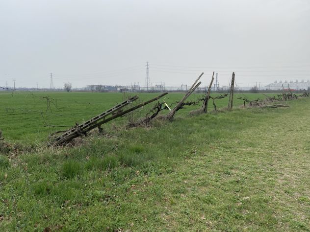 Rustico indip. da ristrut. cambio di destinazione e terreno a Baganzola - Foto 9