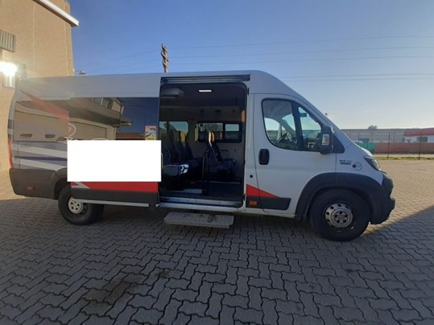 MINIBUS FIAT DUCATO ANNO 2020 EURO 6 POSTI 12 + 1 + 1