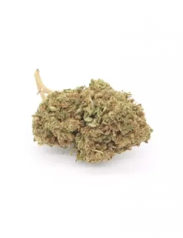 Amnesia Haze Campionatura - Foto 2