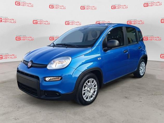 FIAT Pandina 1.0 FireFly 65cv S&S 6m Hybrid Icon