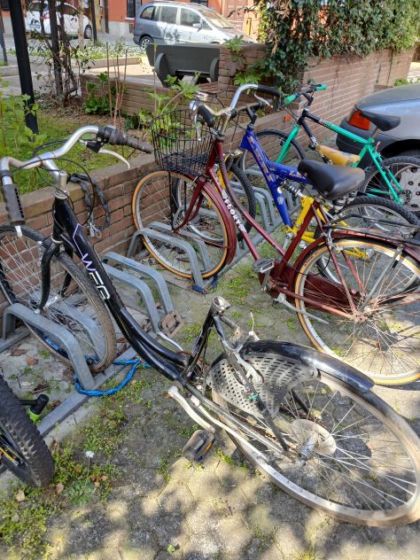 Bicicletta Weg da donna