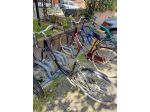 Bicicletta Weg da donna