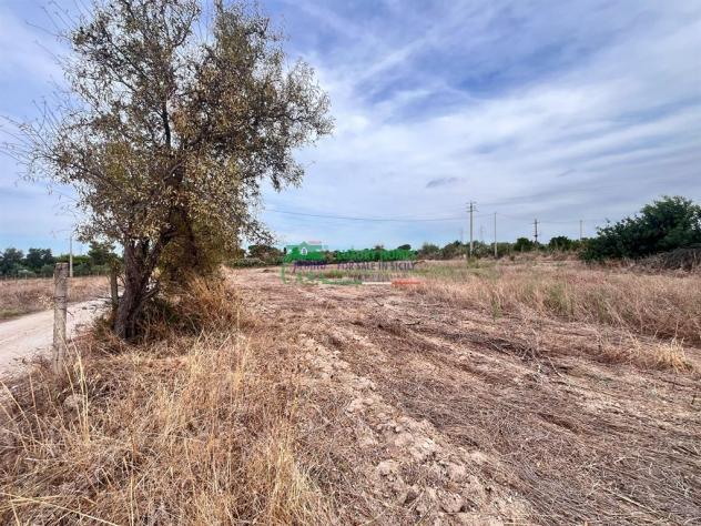 Rif: 2755 - Terreno agricolo in vendita Comiso-Vittoria – Zona Le Dune - Foto 6
