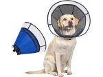 OneTigris - Collare a cono per cani post-chirurgia