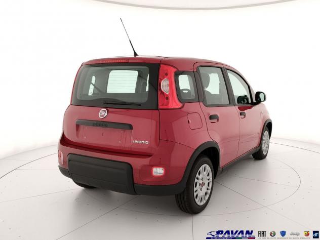 FIAT Pandina Panda 1.0 FireFly 65 CV Hybrid Icon - Foto 3
