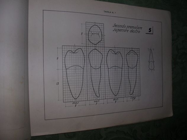 IL DISEGNO DEI DENTI - Foto 7