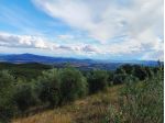 Rustico in vendita a Roccastrada