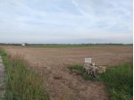 FinImmobil by Immobiliare Occhineri vende terreno agricolo  seminativo ettari 1,