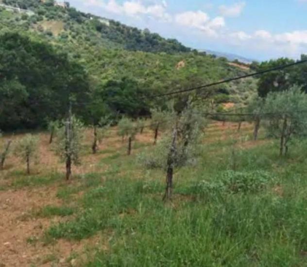 Immobile in asta di 2800 m² in vendita a San Demetrio Corone - Foto 2