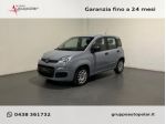 FIAT Panda 1.2 EASY rif. 24211368