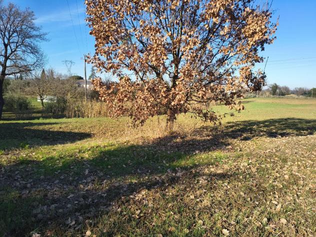 Terreno Agricolo - Riccione . Rif.: C 110 - Foto 7