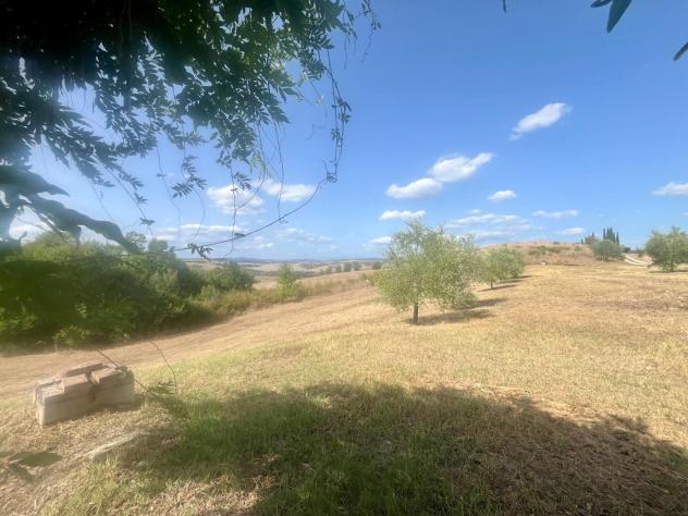 Annesso agricolo in vendita a Asciano 40 mq Rif: 1431968 - Foto 8
