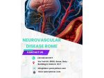 Neurovascular Disease Rome