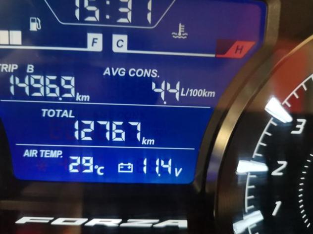 HONDA Forza 350 - rif. 23966034 - Foto 7