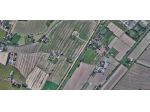 Terreno agricolo in vendita a San Giuliano Terme 865 mq  Rif: 1290274