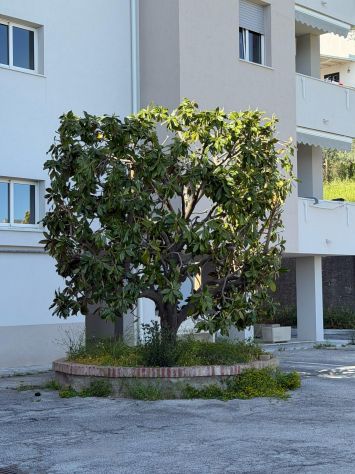 APPARTAMENTO DI 5 VANI IN PARCO CON BOX AUTO E STABILE RISTRUTTURATO - Foto 8