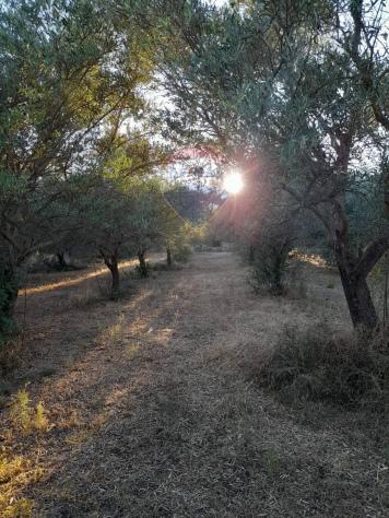 Villa singola in vendita a Canicattini Bagni - Foto 10