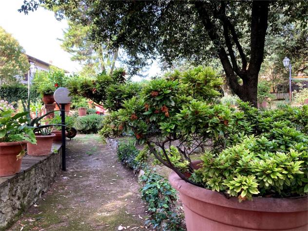 Villa pescia 850 - Villa a Pescia - Collodi - Foto 6