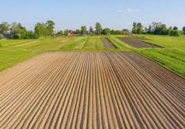 Terreno di 8387 m² in vendita a Curtarolo