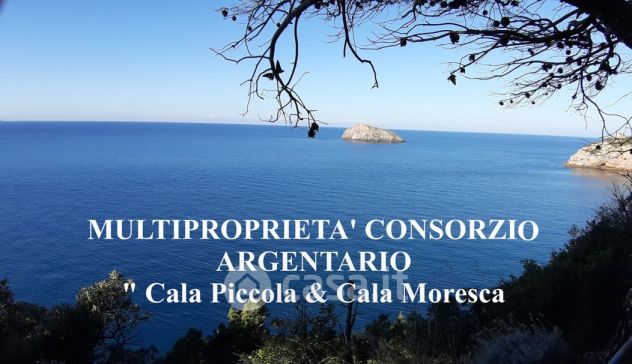 SOCIETA’ COSTRUZIONI SELEZIONA OPERAI LAVORO MONTE ARGENTARIO – PORTO SANTO STE - Foto 2