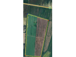 Agricolo in vendita a Altopascio