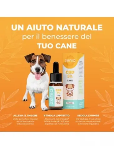 Olio CBD Cane 5% - Gusto Manzo - Foto 8