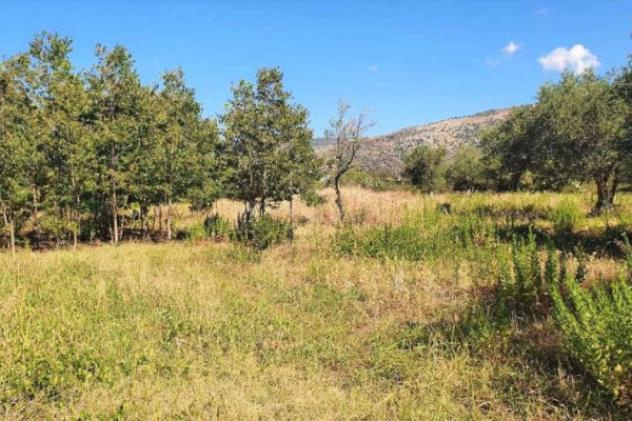 Immobile in asta di 4143 m² in vendita a Borgetto - Foto 6