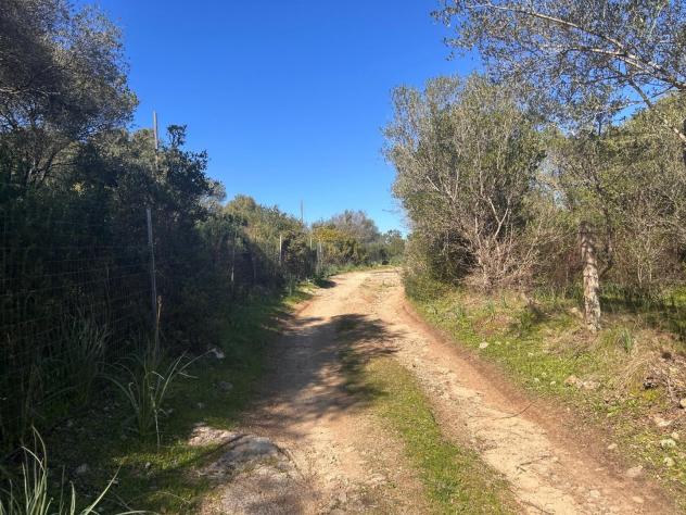 Casale in vendita a Luogosanto 78 mq Rif: 1383998 - Foto 10