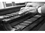Organista professionista musica matrimonio